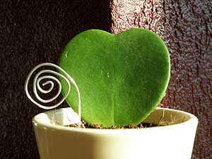 Votre avis nous intéresse...